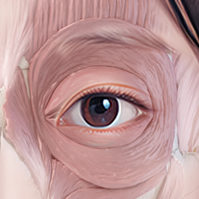 Non-Incisional Double Eyelid Surgery in Korea, RINE Plastic Surgery