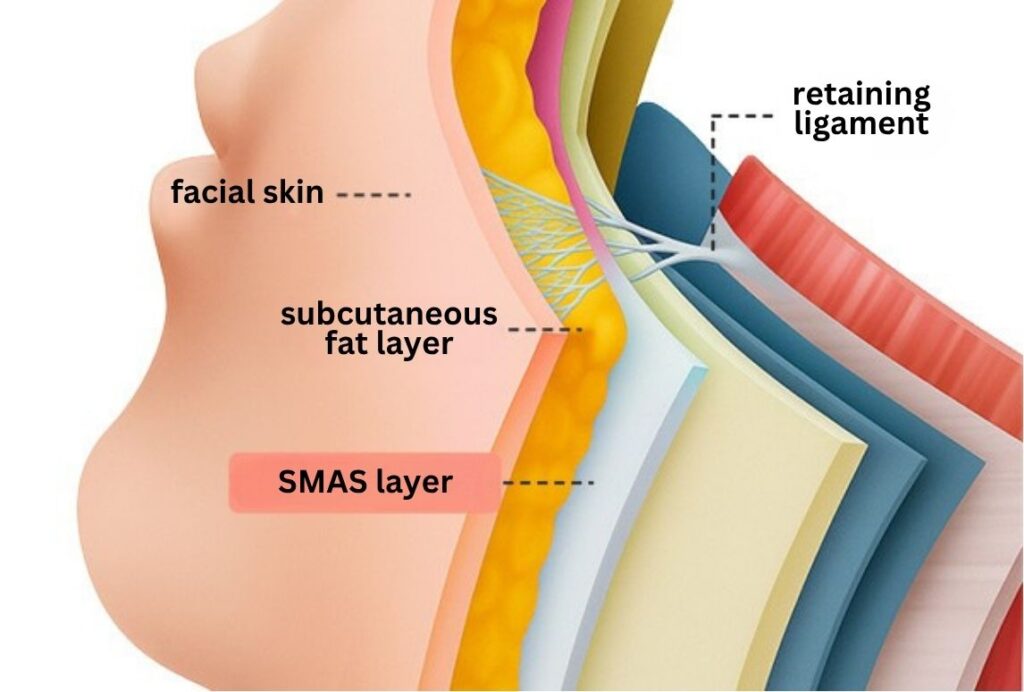 SMAS Face and Neck Lift in Korea, RINE Plastic Surgery